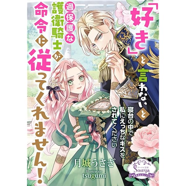 Amazon.co.jp: 一夜の恋のつもりだったのに、記憶を消したはずの騎士